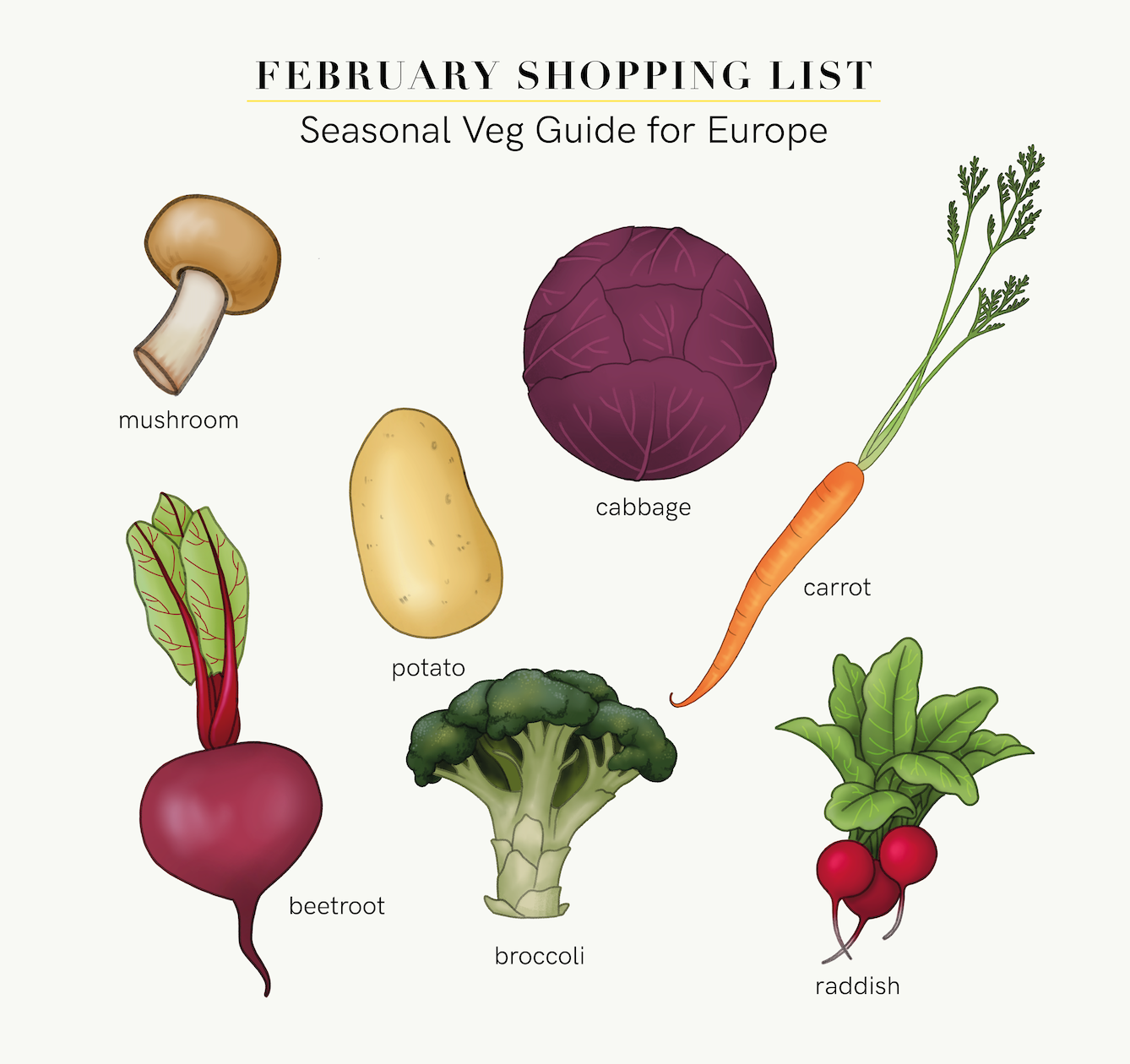 DIET PROTOCOL TO CLEAR ADULT ACNE